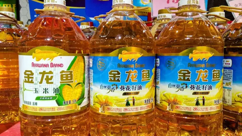 金龙鱼，仍未等到第二曲线
