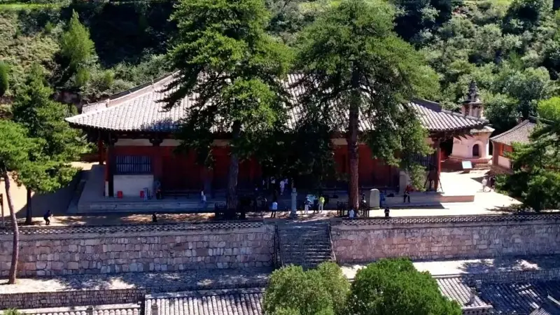 为了保护TA，忻州特地将一条在建高速改道……
