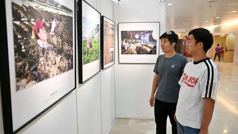 “金沙滩上的闽宁镇”主题摄影展亮相 宁夏博物馆暑期展览季