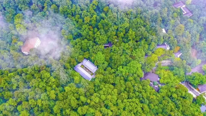 夏日出逃计划:直达大洪山21°C清凉秘境!