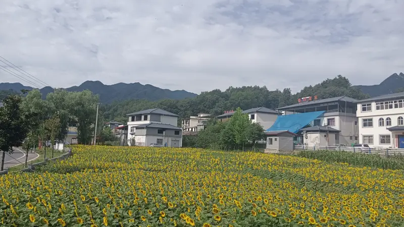 栾川山居：伏牛深处的半日闲