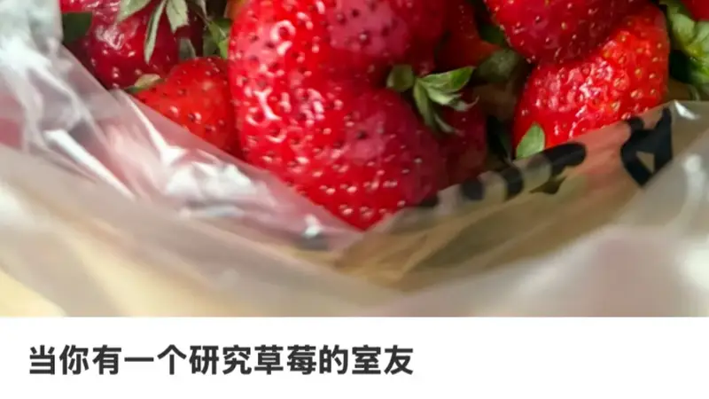 “我是农学生,这是我们组的杂交玉米……”