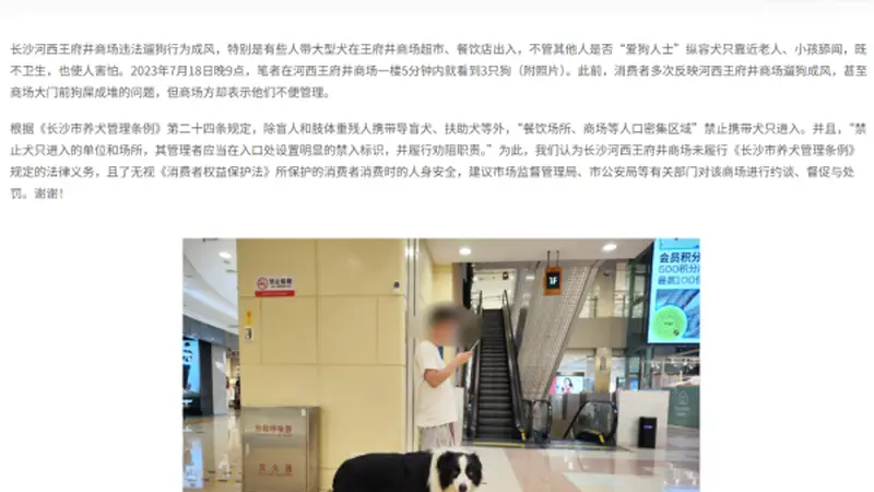 女子商场遛狗不拴绳惊扰他人被打耳光?少数人爱好不能凌驾多数人的感受