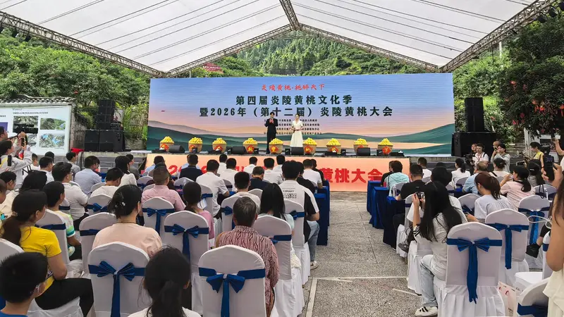 第四届炎陵黄桃文化季启幕，推出三条精品路线，应届中、高考生可免费游玩三大景区