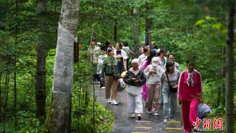避暑游升温 游客畅游汤旺河林海奇石景区