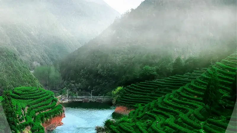 中国之城丨浙江开化：“九山半水半分田”的钱塘源头