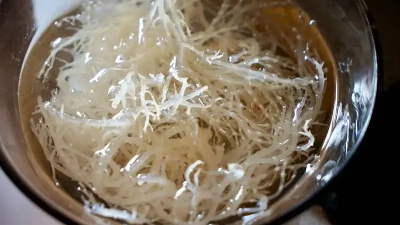 一人食·红油麻酱石花菜拌凉面(四川凉面为啥好吃)