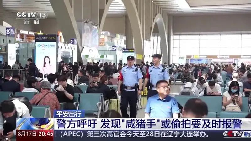 高铁上被碰胸部，女子报警；邻座男子称“就想碰一下”，被拘