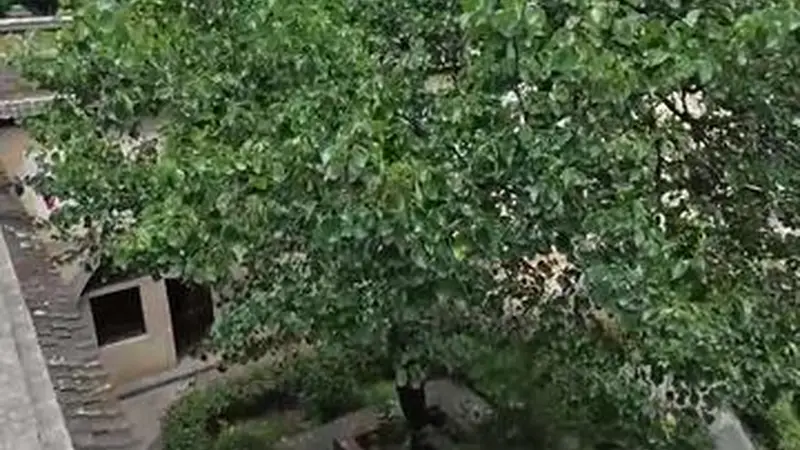 秀我中国|你见过建在“地平线下”的村落吗?