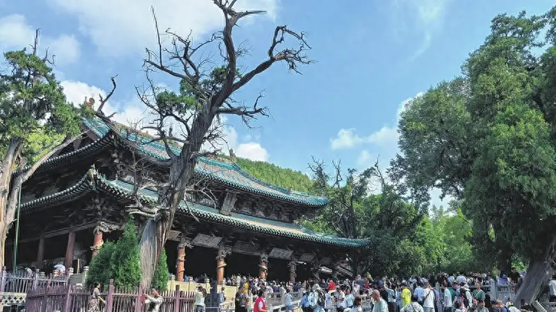 听歌、看展、吹汾河的风!山西太原,一座让你“来了就不想走”的城