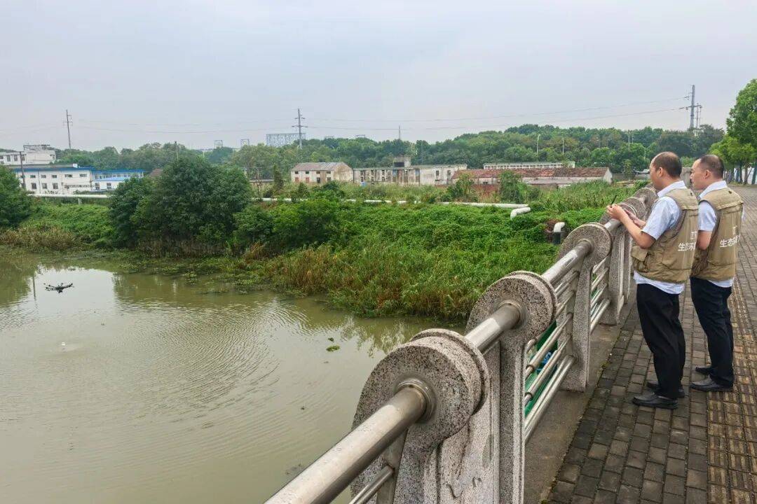 “诊查析”三维发力 常州以科技赋能守护滆湖一汪碧水