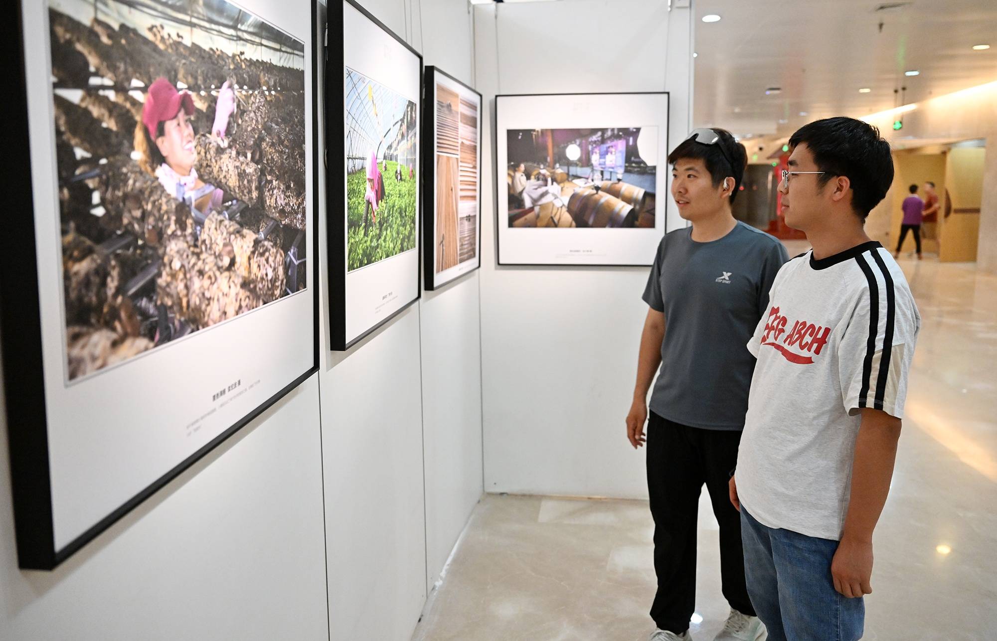 “金沙滩上的闽宁镇”主题摄影展亮相 宁夏博物馆暑期展览季